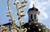 Сьогодні у православних християн свято Вербної неділі
