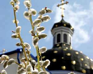 Сьогодні у православних християн свято Вербної неділі