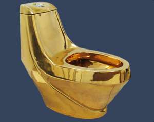 Золотий туалет у Януковича – це повна брехня - Азаров