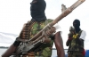 У Нігерії сектанти вбили 23 поліцейських