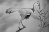 В Техасе найден новый вид пернатого динозавра