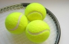 Рейтинги WTA і ATP. Заневська злетіла на 32 позиції, Стаховський залишив ТОП-100