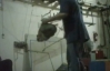 У мережу потрапило відео знущання над тваринами у московському цирку