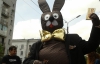 "Возьмите шоколад и выберите меня мэром" - под офисом оппозиции разгуливал "шоколадный кролик"