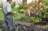 Садівник на Київщині заробляє 6 тисяч гривень на місяць