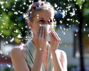 Під час алергії на тополиний пух не можна їсти цитрусові і шоколад