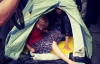"Стоп цензуре!" разбили палатку возле МВД, несмотря на препятствия милиции