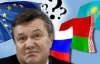 Украина не будет наблюдателем в Таможенном союзе "за красивые глаза"