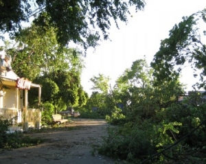Ураган в Одессе вырывал деревья с корнями и бил дорогие автомобили: подборка видео