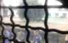 Затриманих активістів "ДемАльянсу" збираються судити і "закрити"