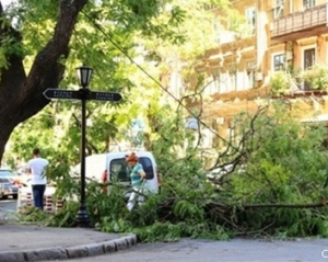Ураган в Одессе наломал дров на 23 миллиона гривен