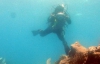 Знайдено залишки корабля 19 століття, що прямував до Бермуд