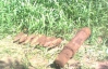 В двух селах Кировоградщины нашли 120 снарядов и минометных мин