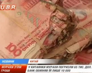 У китаянки мурахи з'їли $65 тисяч