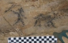 У Теннессі знайшли стародавні наскельні малюнки віком 6 тис. років