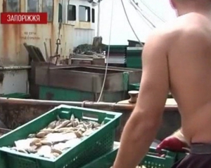 Бердянські пляжі засмерділися через рибу, яку вивантажують рибалки