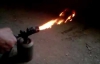 На Київщині хлопця били і катували паяльною лампою