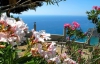 Дом в Греции можно купить за 40 тыс. евро