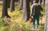 Крымские депутаты ввели налог на прогулки по лесу, а также сбор грибов и ягод