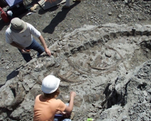 Динозавра з відкушеним хвостом знайшли в Південній Африці