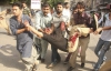 Вибух у пакистанському мегаполісі убив 6 людей. Теракт здійснив смертник