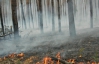 В Севастопольском регионе площадь пожаров превысила 11 гектаров