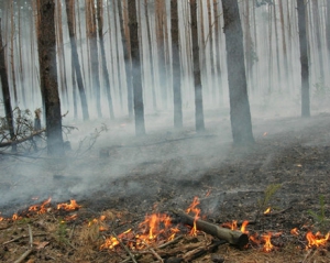 У Севастопольському регіоні площа пожеж перевищила 11 гектарів