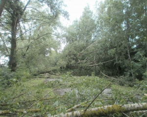 Смерч на Вінниччині не можна було спрогнозувати - науковець