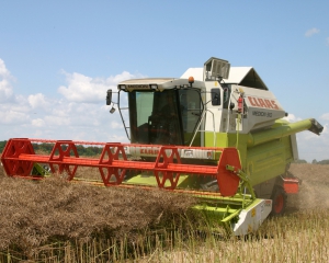 Украина собрала 12 миллионов тонн зерна нового урожая