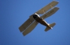 На Буковине упал самодельный самолет: два пилота погибли на месте