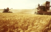 Україна програє від зернового пулу з Росією - експерт
