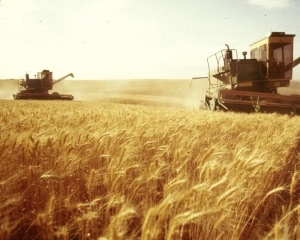 Украина проигрывает от зернового пула с Россией - эксперт