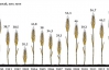 Україна встановить рекорд експорту зерна