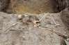 У Перу під підлогою храму виявили останки жінки, яку принесли в жертву
