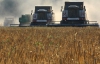 Эксперты прогнозируют неурожай зерновых в Украине