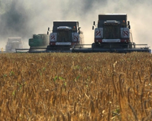 Експерти прогнозують неврожай зернових в Україні
