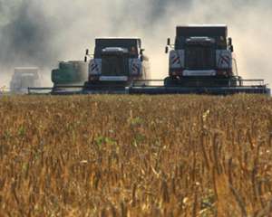 Експерти прогнозують неврожай зернових в Україні