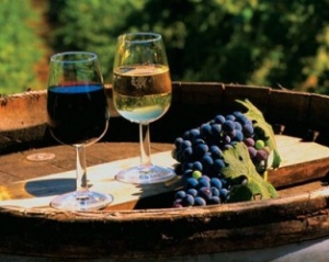 Давні винороби консервували вино смолою