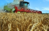 Українські аграрії страждають через дешеве зерно і великі витрати на роботу