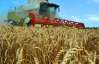 Украинские аграрии страдают из-за дешевого зерна и больших затрат на работу
