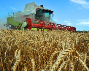 Українські аграрії страждають через дешеве зерно і великі витрати на роботу