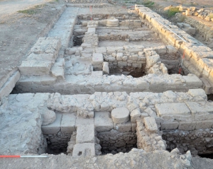 Ракушки для изготовления голубого красителя обнаружили в древнем городе на Кипре