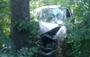 На Вінниччині водій іномарки вбив пішохода, а коли тікав врізався у дерево