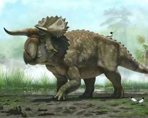 Новый вид динозавра имел два рога клюв-нос
