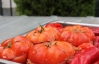Греческую емисту готовят из помидоров или баклажанов