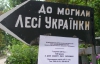 "Подпиши, президент, в Вильнюсе то, о чем мечтала Леся" - отметили 100-ю годовщину смерти Леси Украинки