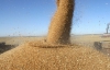Украина может заработать $10 на продаже зерна за границу