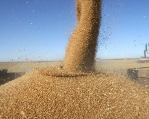 Украина может заработать $10 на продаже зерна за границу