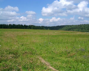 Плату за реєстрацію земельних ділянок можуть скасувати