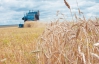 Влада замахнулась на рекордні 57 мільйонів тонн зерна